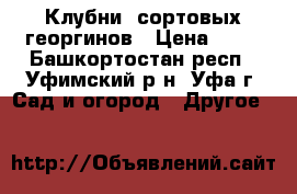 Клубни  сортовых георгинов › Цена ­ 70 - Башкортостан респ., Уфимский р-н, Уфа г. Сад и огород » Другое   